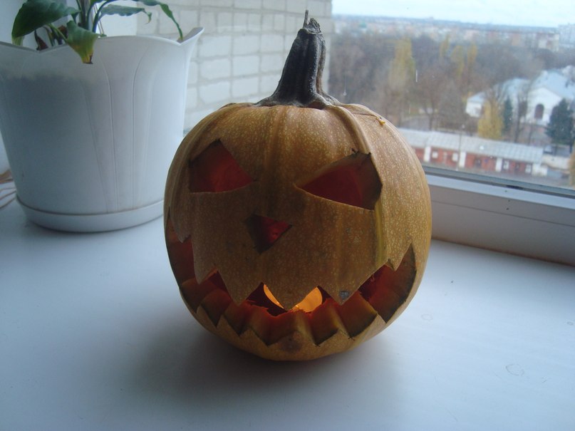 cys07xdpu_0.jpg cys07xdpu_0.jpg