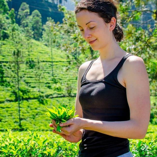 news 2016 02 25 09 15