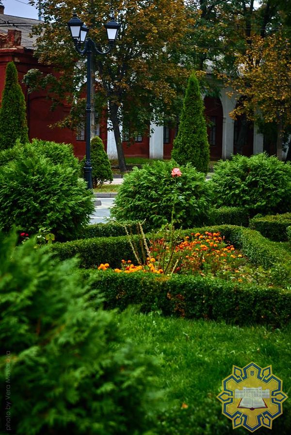 22221498 1883877664961411 1361934748621339158 n