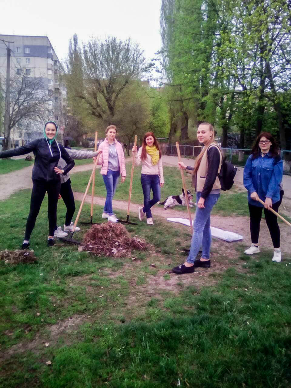 30724936 1705469412839919 4646985388265570304 n